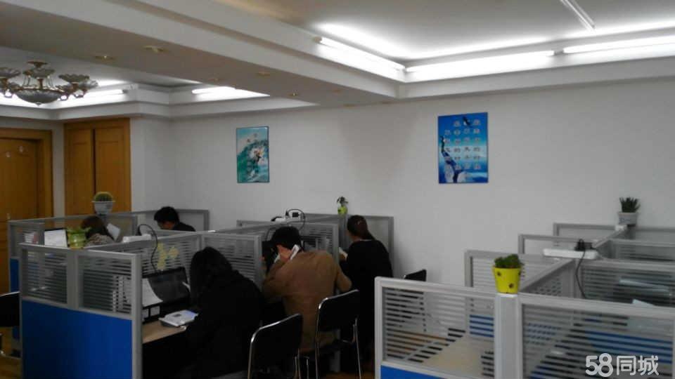 合肥飞琴教育咨询 点亮职业发展的智慧之灯